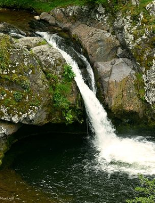 Водопад Гюмберджията (Гюмбуртията)