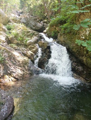 Отовишки водопад 3