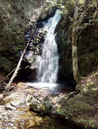 Долен водопад Заграденица