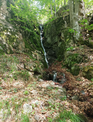 Водопад ляв приток Малък въртоп
