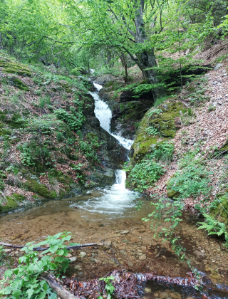 Водопад Пачарезов дол 7
