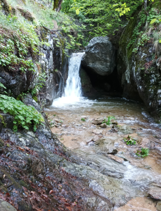 Долен водопад Каменица