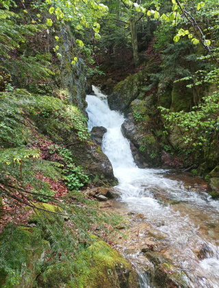 Водопад Каменица 13