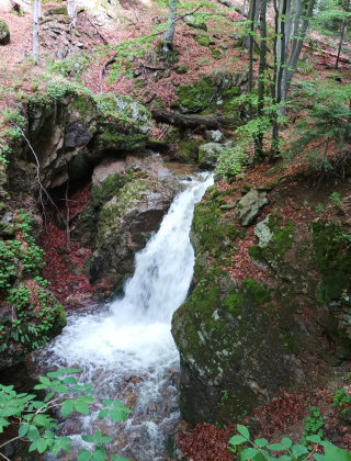 Водопад Каменица 14