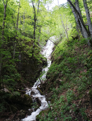 Водопад Мазъдере 3