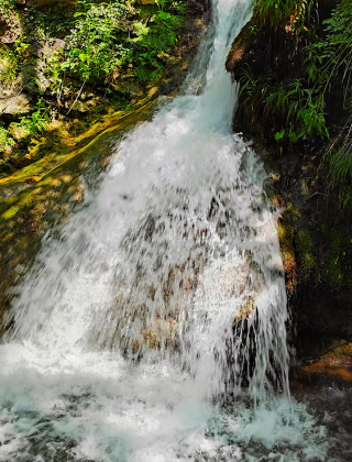 Siniyat Vir Rapid