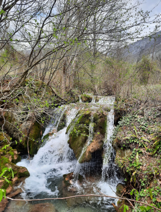 Zlatitsa Rapid 2