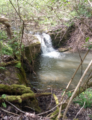 Krushevska Reka Rapid 2