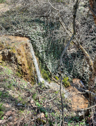 Zlatevtsi Rapid