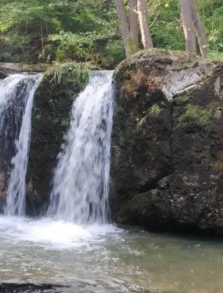 Voynezha Rapid