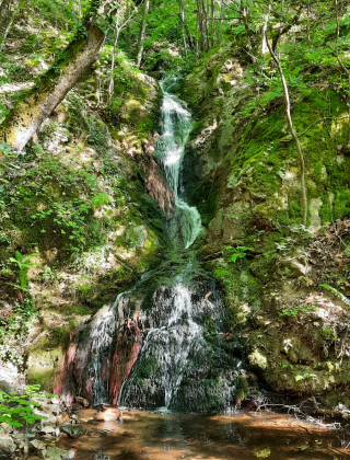 Водопад Дъбицата