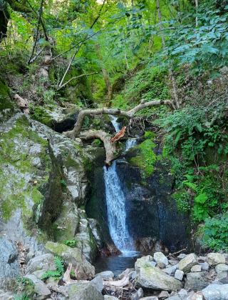 Водопад Свиговица