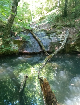 Долен водопад Гоговски дол