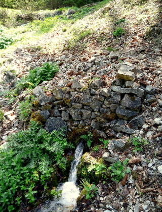 Beliya Lower Spring