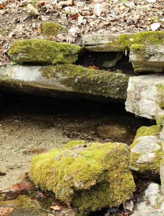 Haydushki Dol Spring