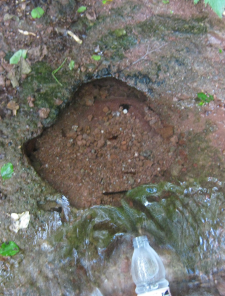 Kalimanitsa Spring