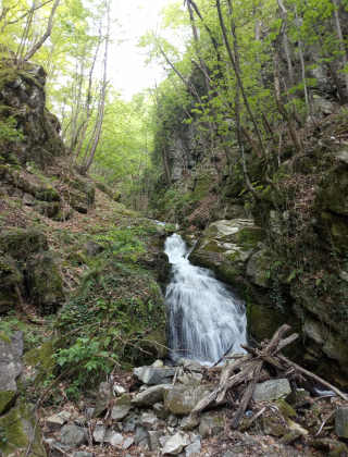 Долен водопад Папришка река