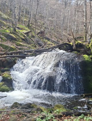 Milina Reka Rapid 2
