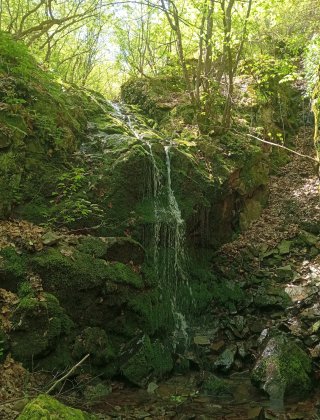 Adaderesi 8