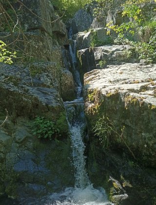 Adaderesi 7
