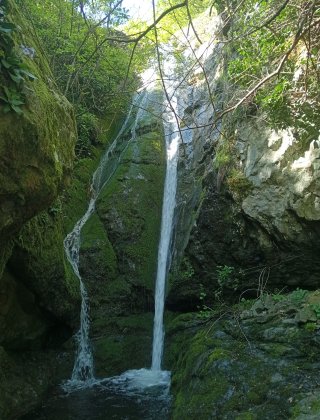 Adaderesi