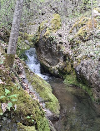 Зимевишки водопад 8