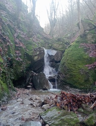 Водопад Лявата река