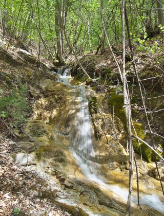Долен водопад Чечковица